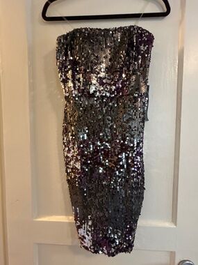 Purple & Silver Strapless Sequin Dress